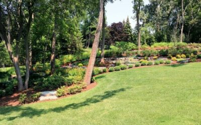 10 Ideas for Landscaping Property Lines