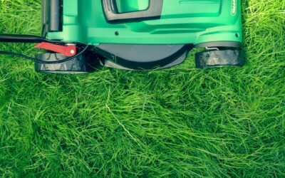 Why The Landscaper Is The Best For Business